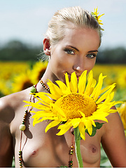 Amidst a large field of sunflowers in full bloom, Adele's natural beauty is the fairest of them all as she confidently poses her gorgeous body with perfectly erect nipples under the warm sun.